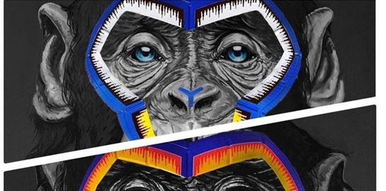 Η αμφιλεγόμενη αντιρατσιστική καμπάνια της Serie A