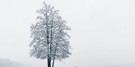 Τα χιονισμένα τοπία του φωτογράφου Mikko Lagerstedt προκαλούν δέος