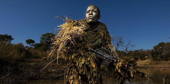 Οι καλύτερες φωτογραφίες του 2019