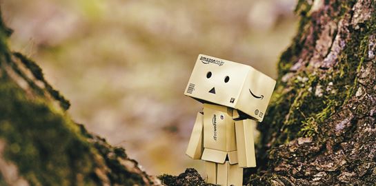 O θαυμαστός καινούργιος κόσμος της Amazon