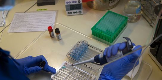 Τι γνωρίζουμε για τη μετάλλαξη του κορονοϊού