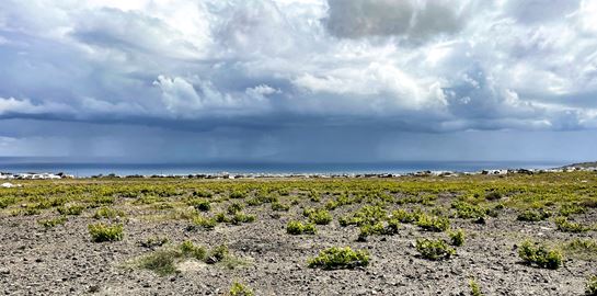 ΟΕΝΟ Π, ένας μοναδικός έρωτας για το κρασί που έγινε θαυμάσιο οινοποιείο