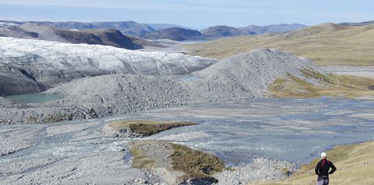Σε άλλα νέα, η Γροιλανδία ανθίζει