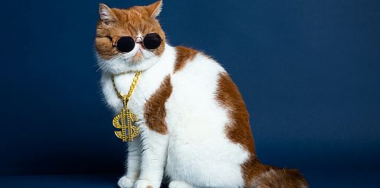 Τα πλουσιότερα και πιο επιδραστικά κατοικίδια ζώα στον κόσμο