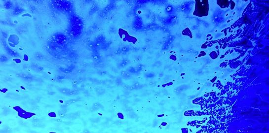 Σε άλλα νέα, μόλις ανακαλύψαμε 5.000 νέους θαλάσσιους ιούς