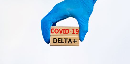 Τι ακριβώς είναι η μετάλλαξη Δέλτα Plus