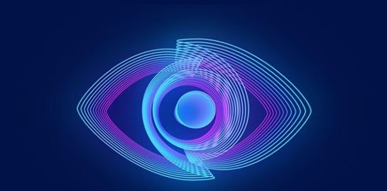 O Big Brother θέλει αλλά δεν είναι της νέας εποχής