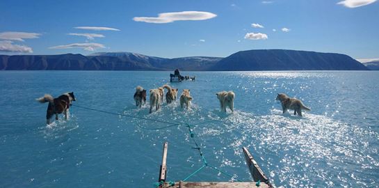 Οι επιπτώσεις της κλιματικής αλλαγής σε μία φωτογραφία