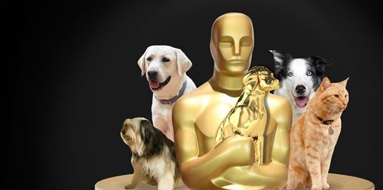 Τετράποδοι και μη, πρωταγωνιστές που αξίζουν βραβείο Όσκαρ