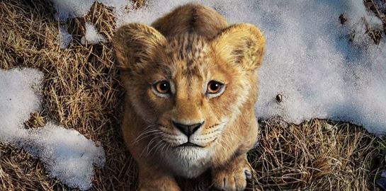 Στο νέο trailer για το Mufasa: The Lion King επιστρέφουν αγαπημένοι χαρακτήρες