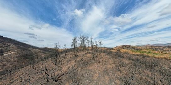 Έχουμε &#39;χαλάσει&#39; τόσο το κλίμα που και η έλλειψη ατμοσφαιρικής ρύπανσης είναι πρόβλημα