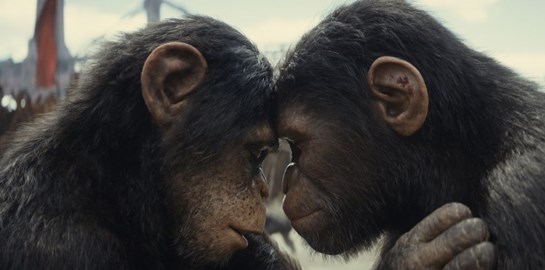 Το μεγάλο πρόβλημα με το 'Βασίλειο του Πλανήτη των Πιθήκων'