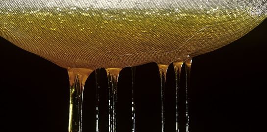 Κι αν ξεμείνουμε από μέλι;