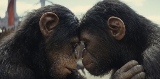 Πρώτο trailer για &#39;Το Βασίλειο του Πλανήτη των Πιθήκων&#39;