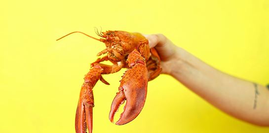 Ο αστακός και μία γαστρονομική σύγχυση