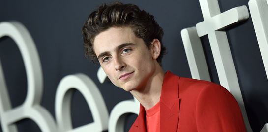Η τολμηρή μονοχρωμία του Timothée Chalamet