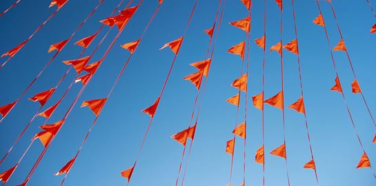 Τα Red Flag emojis είναι παντού στα social media. Αλλά γιατί;