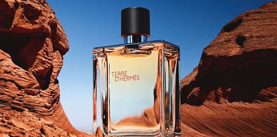 5 ξυλώδη αρώματα για το φθινόπωρο