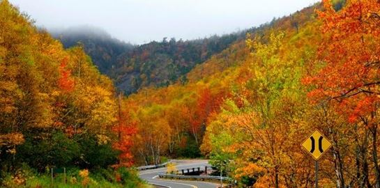Αυτός είναι ο πιο όμορφος δρόμος στον κόσμο