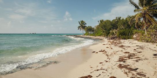 To Airbnb αναζητά εθελοντές για διακοπές στις Μπαχάμες