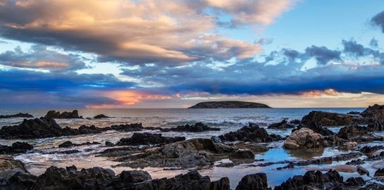 Γιατί κάποιες παραλίες στην Αυστραλία έχουν ροζ χρώμα