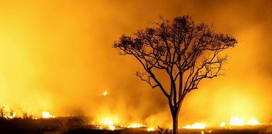Ένα ακόμη αρνητικό ρεκόρ που έσπασε το 2023