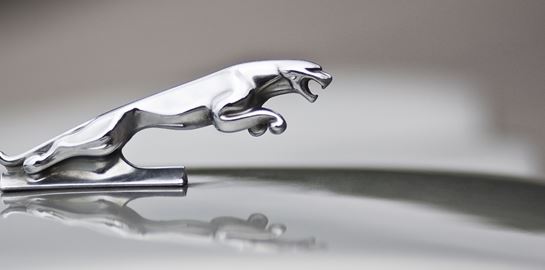 H στιγμή που πλήθος ανθρώπων βάζει φωτιά σε αυτόνομη Jaguar