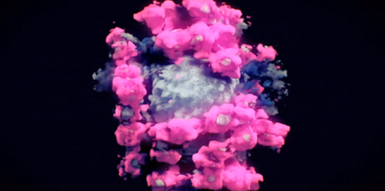 Η πρώτη πραγματική φωτογραφία του κορονοϊού