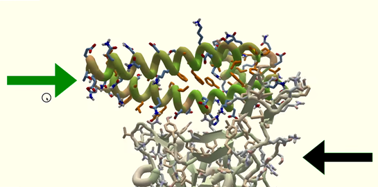 Το video game που ψάχνει τη θεραπεία για τον κοροναϊό