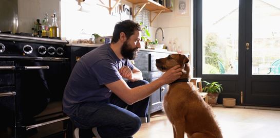 8 οφέλη που φέρνει ο σκύλος σου στη ζωή σου