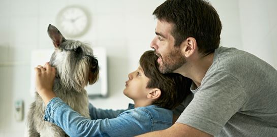 Αυτές είναι οι ράτσες σκύλων που ζουν περισσότερο