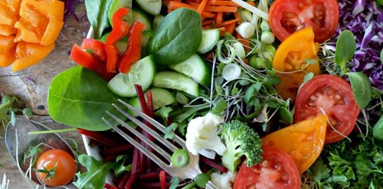 H δίαιτα που βελτιώνει την υγεία του εντέρου