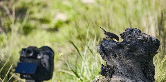 Ευχάριστα νέα από την Nikon Z 9 και την έκδοση 4.00 του firmware