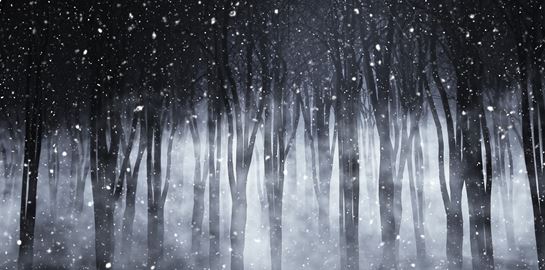 Ακόμη και τα Χριστούγεννα, γίνονται εγκλήματα