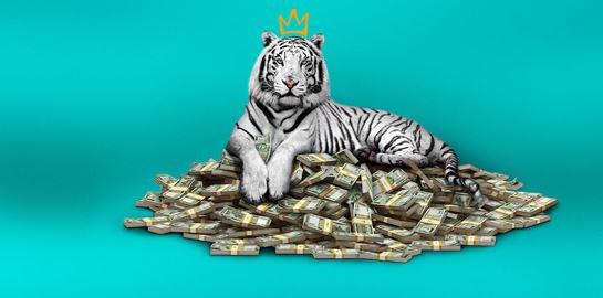 The White Tiger: Το επόμενο μεγάλο hit του Netflix