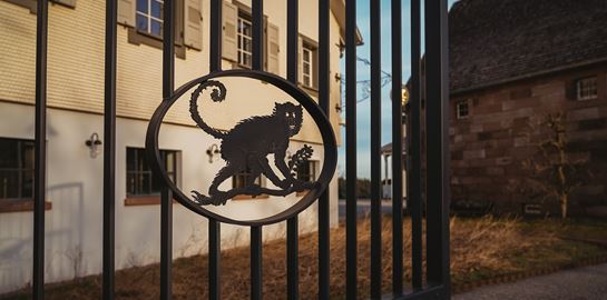 Monkey 47: Το μυστικό του Μέλανα Δρυμού