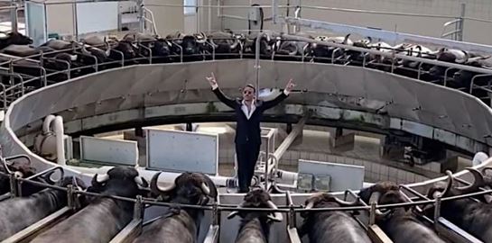 Ο τρόπος που το κρέας φτάνει μέχρι το τραπέζι μας δείχνει τι άνθρωποι είμαστε