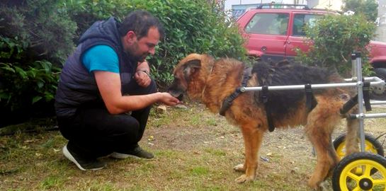 Ο Βασίλης Τζιγκούρας έχει φτιάξει πάνω από 1.200 αναπηρικά αμαξίδια για ζώα