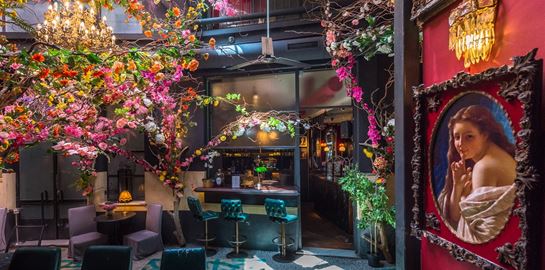 Το Noel επέστρεψε, πιο ανθισμένο από ποτέ