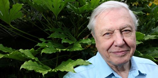 O David Attenborough είναι αισιόδοξος για το περιβάλλον
