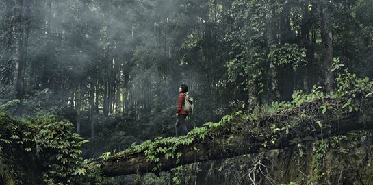 Η Ινδονησία κατασκευάζει νέα πρωτεύουσα μέσα στην ζούγκλα