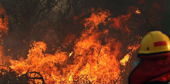 O Aμαζόνιος φλέγεται