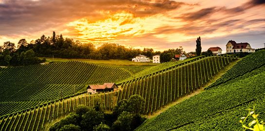 Τα 100 κορυφαία οινοποιεία του κόσμου για το 2020