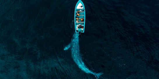 Οι ομορφότερες φωτογραφίες με drone για το 2020