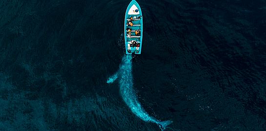 Οι ομορφότερες φωτογραφίες με drone για το 2020