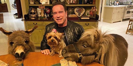 Celebrities σε καραντίνα, οι φωτογραφίες