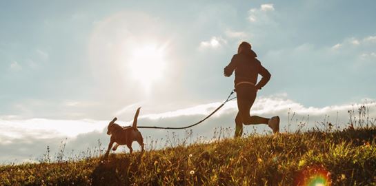 To Canicross είναι η καλύτερη προπόνηση για σένα και τον σκύλο σου