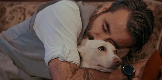 5 αδέσποτες ιστορίες