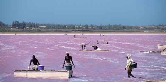 Ρέτμπα, η ροζ λίμνη της Σενεγάλης
