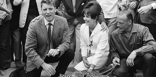 We Are One: Τα μεγαλύτερα κινηματογραφικά φεστιβάλ ενώνουν δυνάμεις στο YouTube